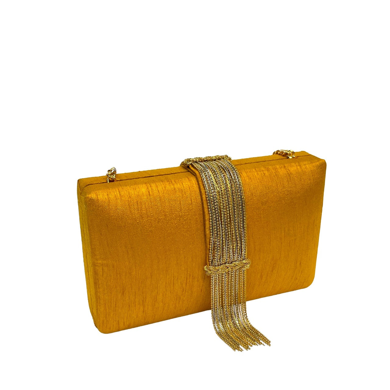 Gold fringe bag best sale